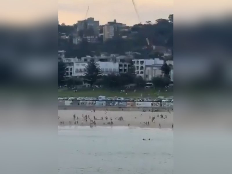 Israeli President condemns attack on Jewish community event in Sydney 