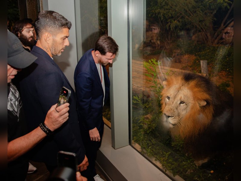 Lionel Messi experiences Indian tradition and wildlife in a visit to Vantara near Jamnagar, Gujarat, on Tuesday. 