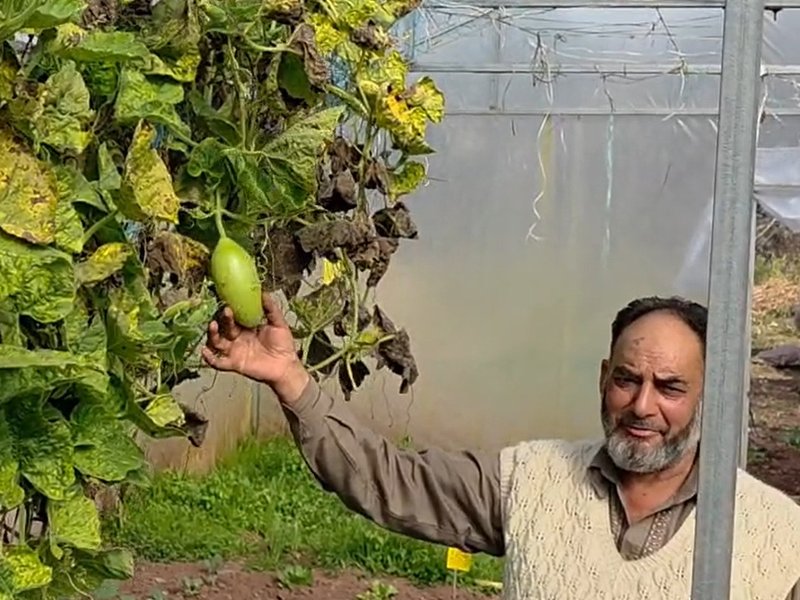 J&K: Ramban farmer sets example in modern farming, inspires fellow villagers (Photo: IANS)