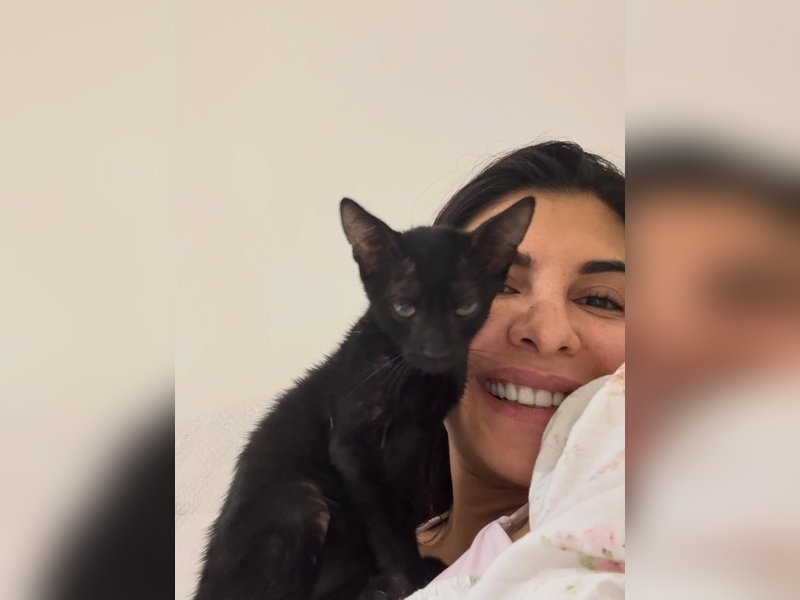 Jacqueline Fernandez rescues kittens: Wish we could give our beautiful strays a chance at love