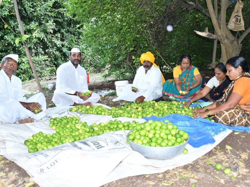 Indi Lime export to Oman showcases early gains of CEPA