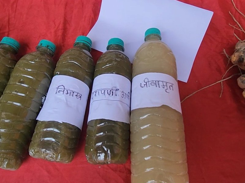 भागलपुर में प्राकृतिक खेती को बढ़ावा: छोटे किसानों को प्रति एकड़ सहायता राशि और प्रशिक्षण दे रही सरकार 