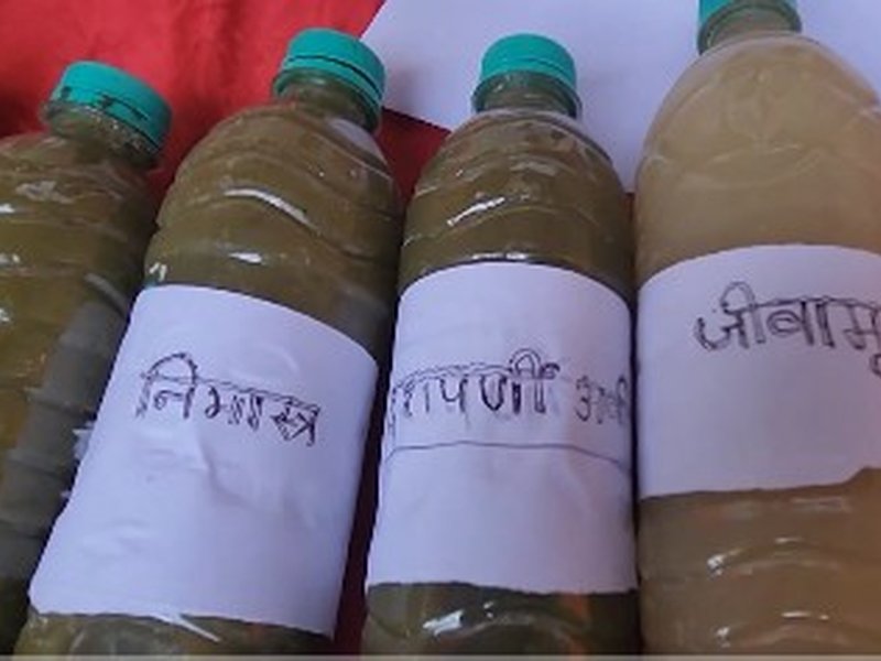 Modi govt promotes natural farming in Bihar's Bhagalpur to help farmers become 'Aatmanirbhar'