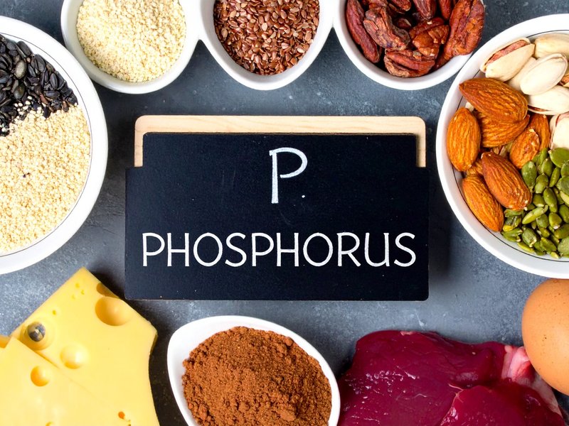 क्या आप रोज ले रहे हैं फॉस्फोरस? ज्यादातर लोग नजरंदाज कर देते हैं ये बात
