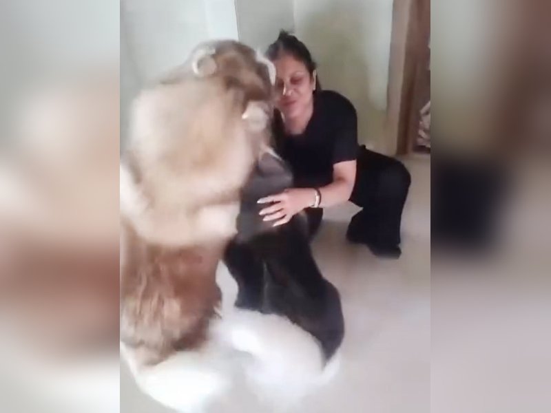 Shefali Shah returns home from Norway trip to a joyful & adorable welcome from her huskies