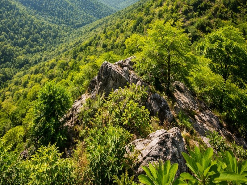 No mining, no dilution: Central govt throws full shield over Aravallis (Photo: IANS)