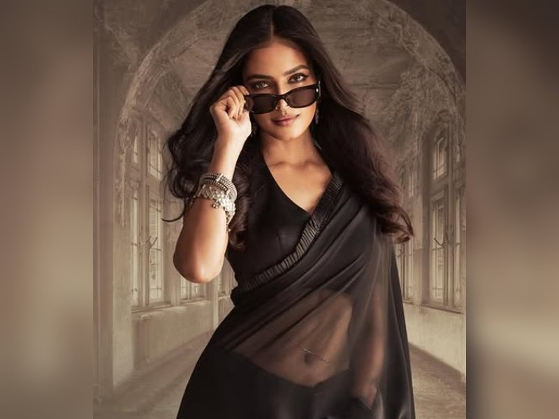 Malavika mohanan, Thalapathy vijay