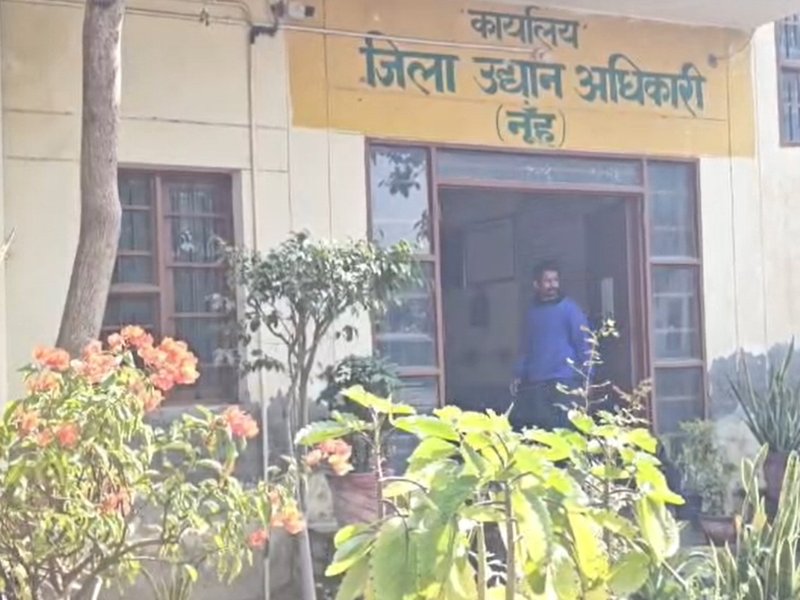 हरियाणा: नूंह के खेतों में उगा नवाचार, 20 वैरायटी वाले मशरूम प्लांट ने बदली खेती की तस्वीर