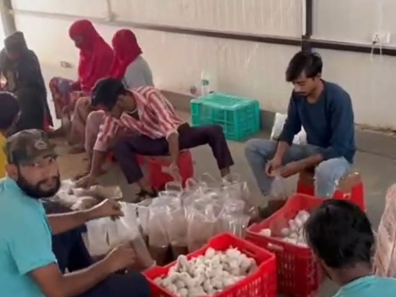 Innovation takes root in Nuh as 20-variety Mushroom Plant transforms farming (Photo: IANS)