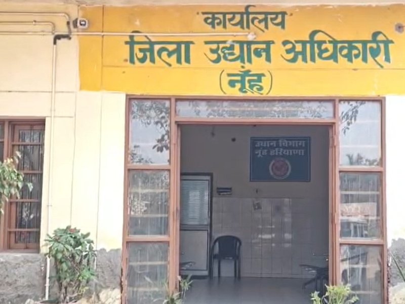 हरियाणा: बेरोजगार युवाओं और भूमिहीन किसानों के लिए आय का साधन बना मधुमक्खी पालन