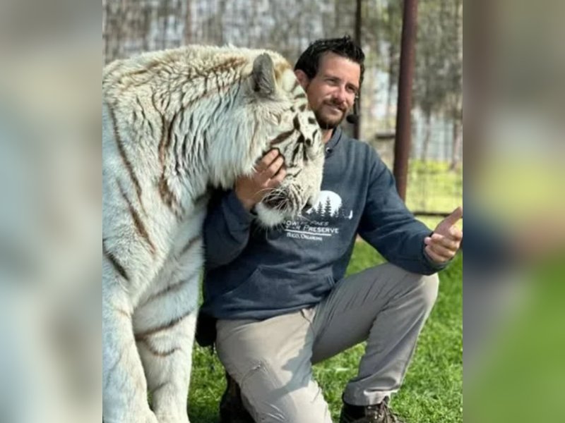 सिंहावलोकन 2025: जंगल से शहर तक वन्यजीवों का हमला, 5 घटनाएं जिससे दहली दुनिया