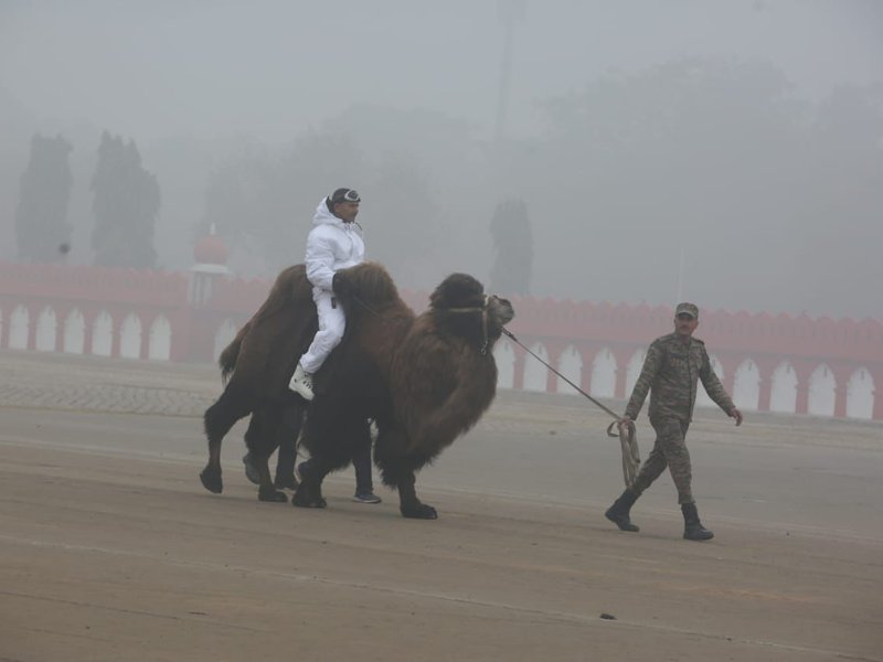 दिल्ली : पहली बार कर्तव्य पथ पर कदमताल करेंगे डबल हंप बैक्ट्रियन ऊंट 