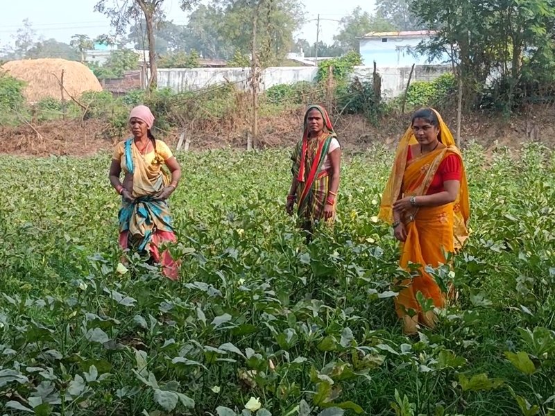 छत्तीसगढ़: गरियाबंद में लखपति दीदी योजना से लाखों कमा रहीं ग्रामीण महिलाएं