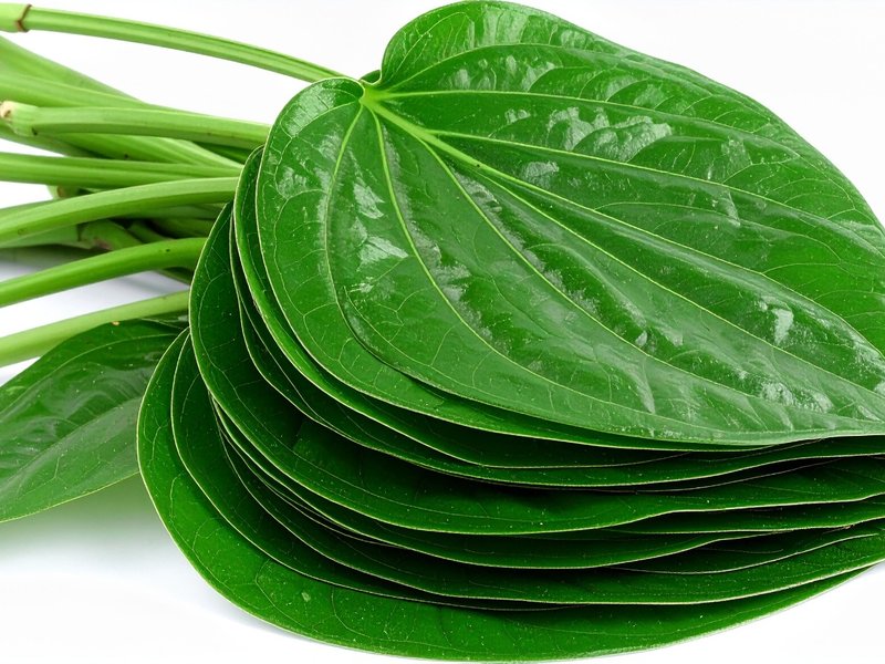 साधारण नहीं पान का पत्ता, सेवन से मिलते हैं ये 7 बड़े फायदे 