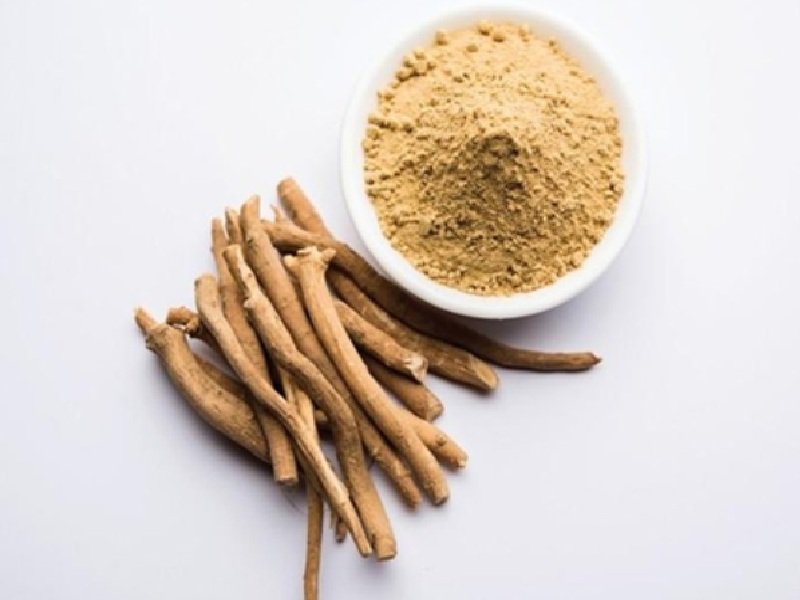 पुरुषों की हर समस्या का हल है सफेद मूसली, फायदे जानकर हो जाएंगे हैरान