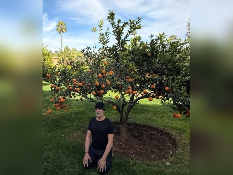 Akshay Kumar sits under an orange tree, reflects on growth