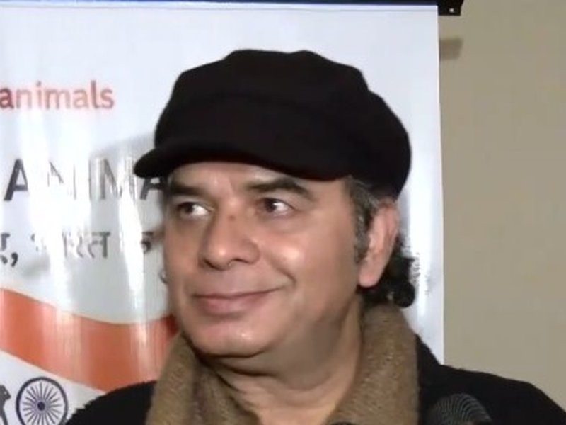 'कुत्ते भी भगवान का रूप होते है', स्ट्रीट डॉग्स को रिलोकेट करने के मामले पर मोहित चौहान ने रखे विचार