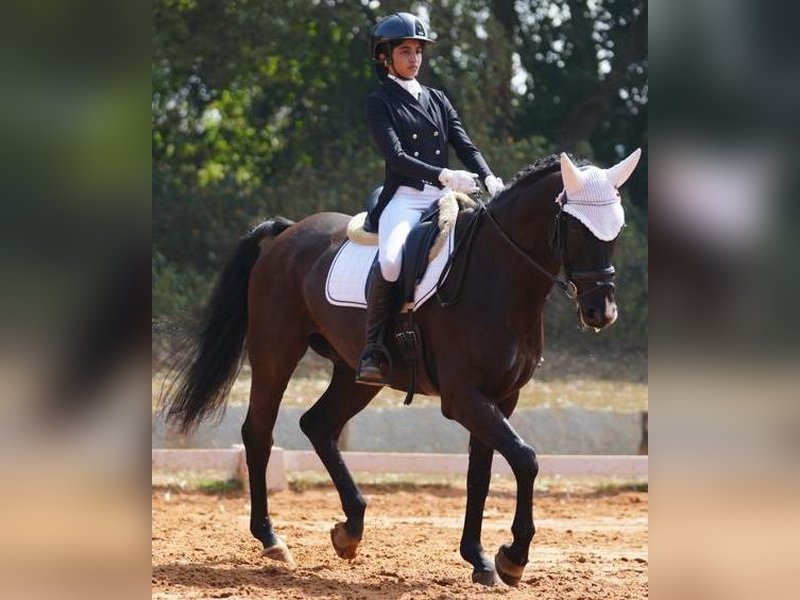 Stasya Pandya, Taarini Lodha deliver standout performances at Junior National Equestrian C'ship (Credit: EFI)