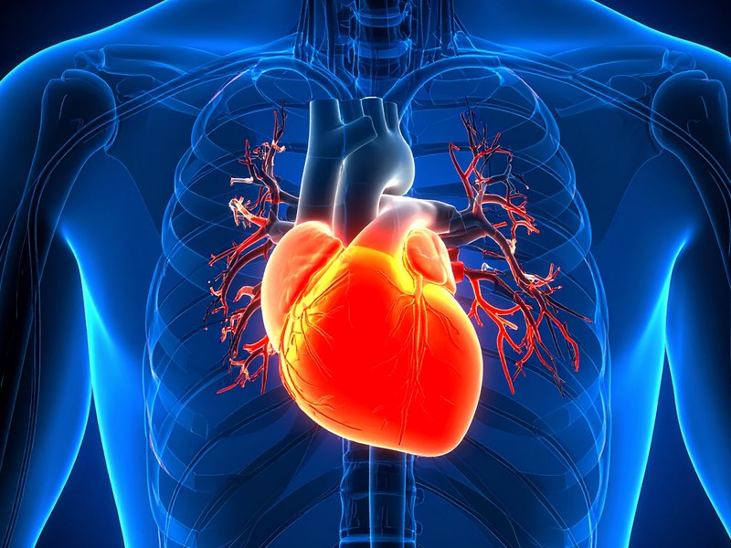 Time of day may determine heart surgery outcomes: Study