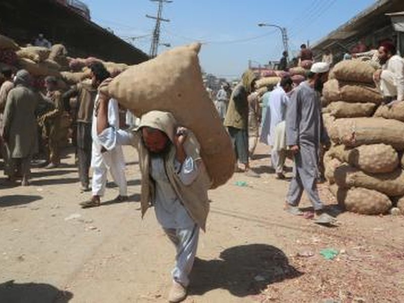 Pakistan: Flour prices surge in Khyber Pakhtunkhwa sparks concerns among residents 