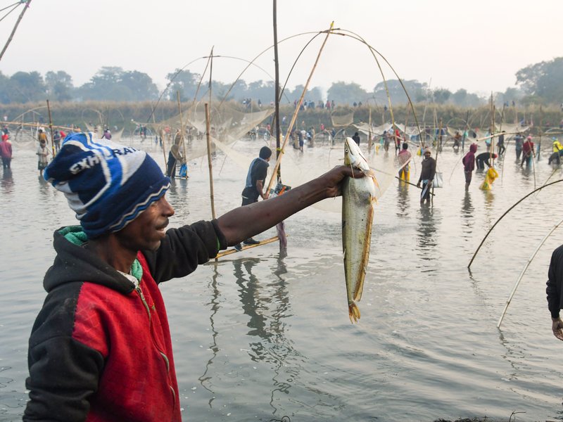 Blue Economy: Cold-water fisheries contribute 3 pc of inland fish production