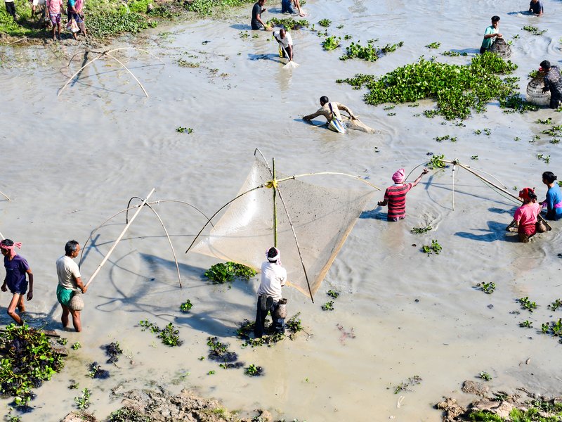 मत्स्य विभाग ने अंडमान-निकोबार में 199.24 करोड़ रुपए की लागत से स्मार्ट और एकीकृत फिशिंग हार्बर परियोजना को मंजूरी दी