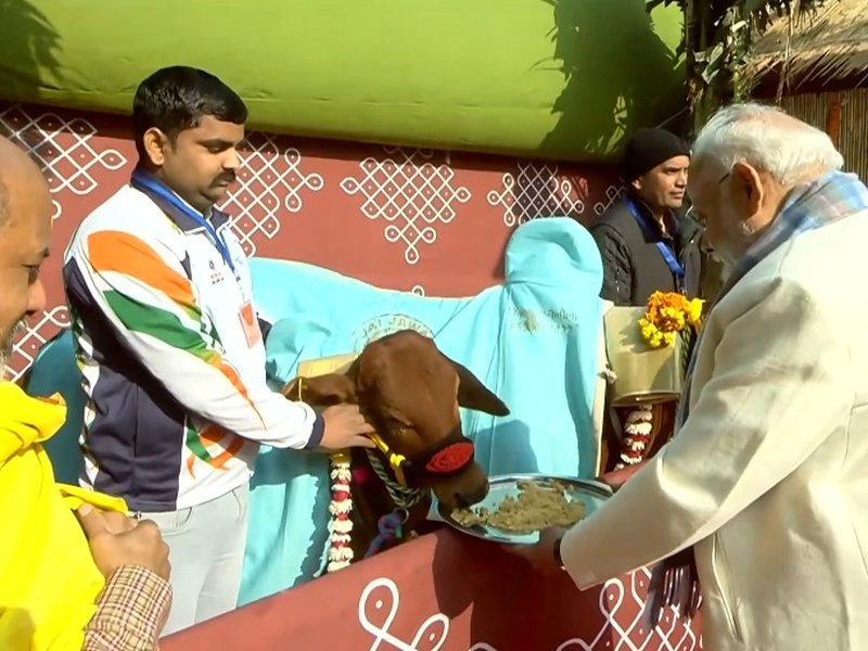 PM Modi joins Pongal celebrations at Minister Murugan's home, says Tamil culture shared heritage of all humanity