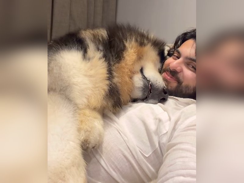 Shikhar Pahariya cuddles girlfriend Janhvi Kapoor’s fur baby: Best huggies from Bhaitu