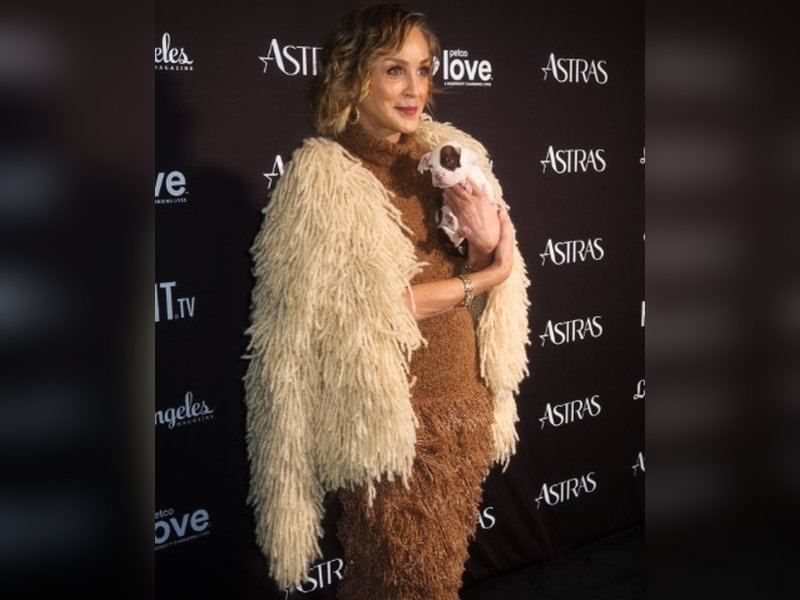 Sharon Stone introduces ‘newest member of the family’