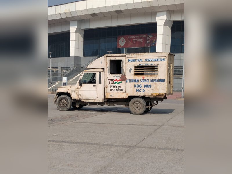 BWF India Open: After monkeys, stray dogs spotted at IG Sports Complex; dog van stationed at venue 