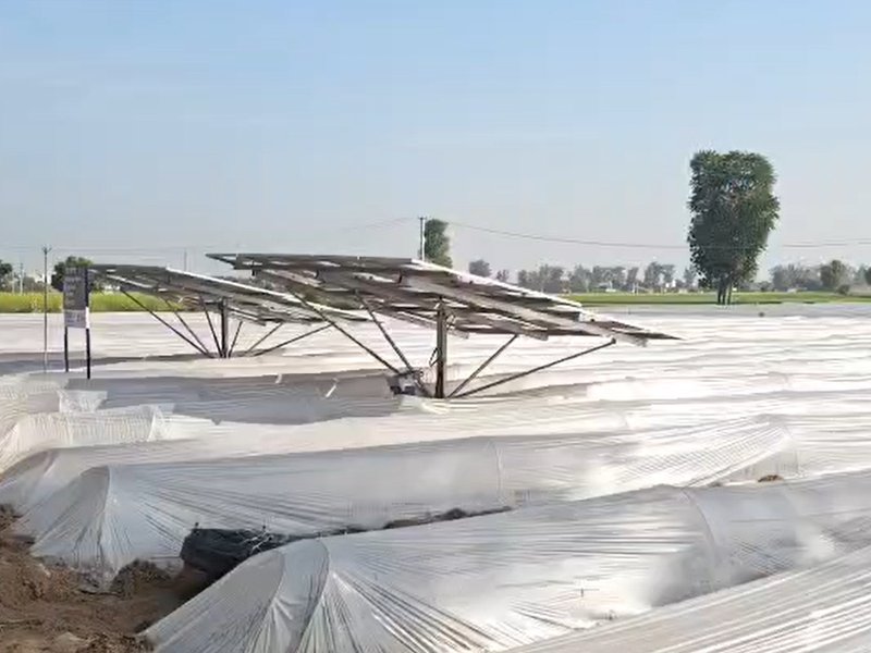 नूंह : बागवानी की नई तकनीकें बनी किसानों की आय का मजबूत आधार, हो रही लाखों की कमाई