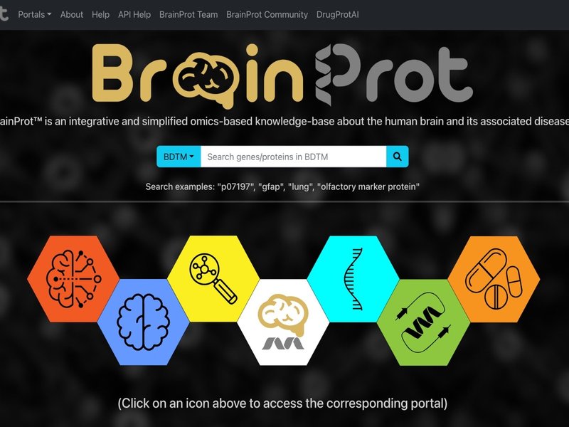 IIT Bombay’s new smart platform to help researchers decode brain diseases