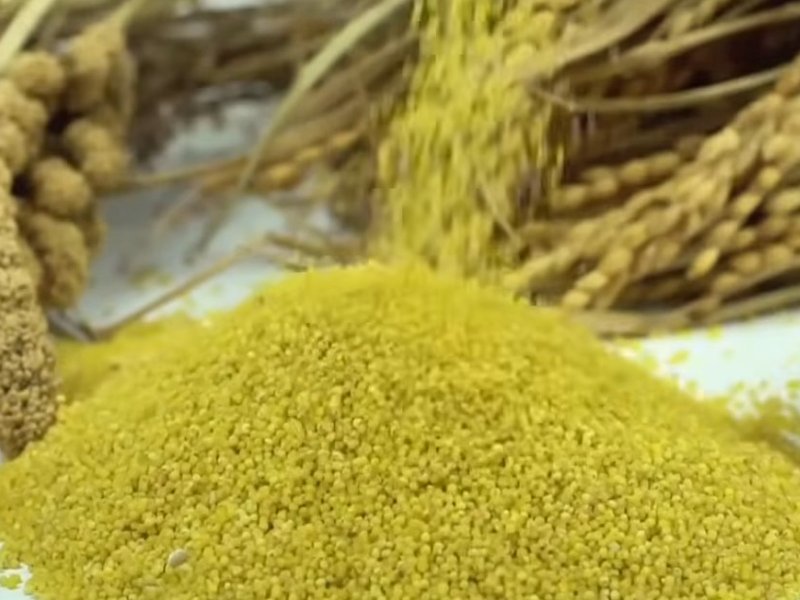 मन की बात : मिलेट्स को लेकर बोले पीएम मोदी- ये परंपरा, सेहत और रोजगार को एक साथ जोड़ रहा