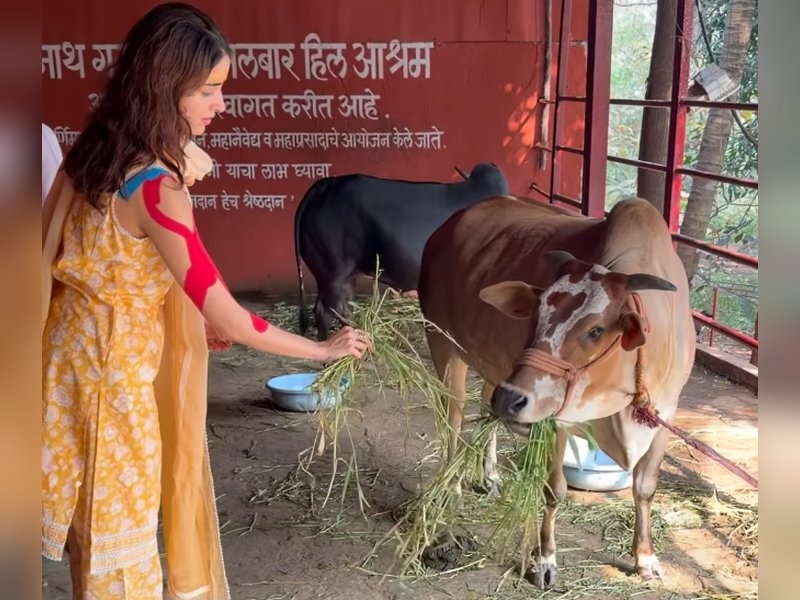 Ananya Panday performs Gau Seva during her visit to Lord Shiva temple
