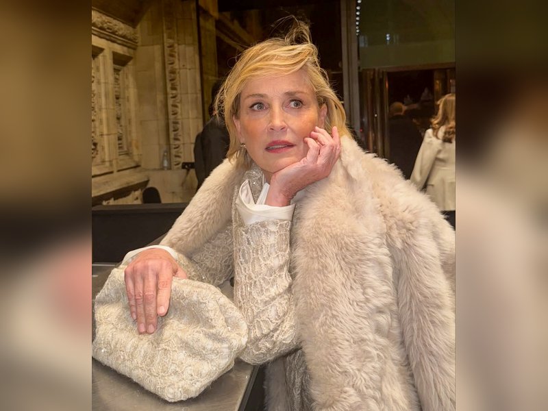 Sharon Stone has a spooky inspiration behind her paintings