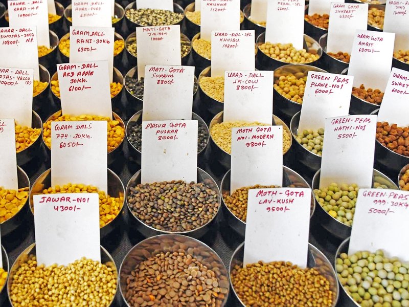 Large-scale procurement of pulses, oilseeds approved for 4 states; UP biggest beneficiary