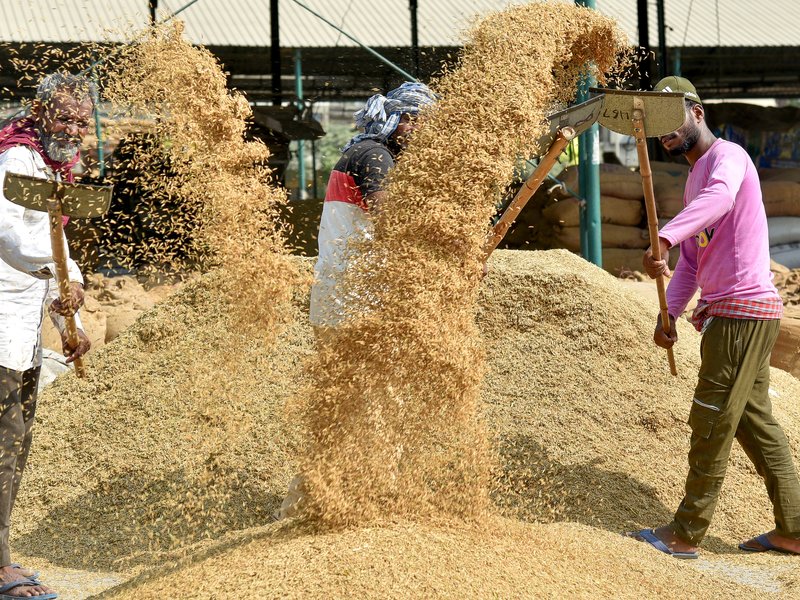 Govt finalises 70‑year lease for Basmati organic farming training centre in UP