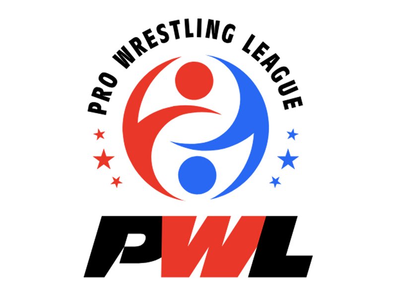 Organisers to launch Pro Wrestling League-based gaming app to keep fans engaged: PWL Chairman Dayaan Farooqui 