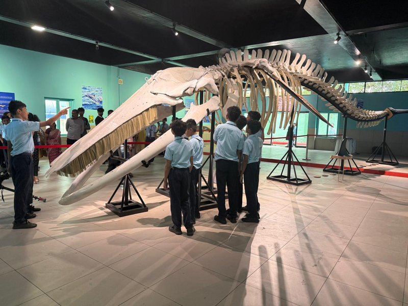 Whale skeleton and marine mammal songs captivate visitors at CMFRI Foundation Day