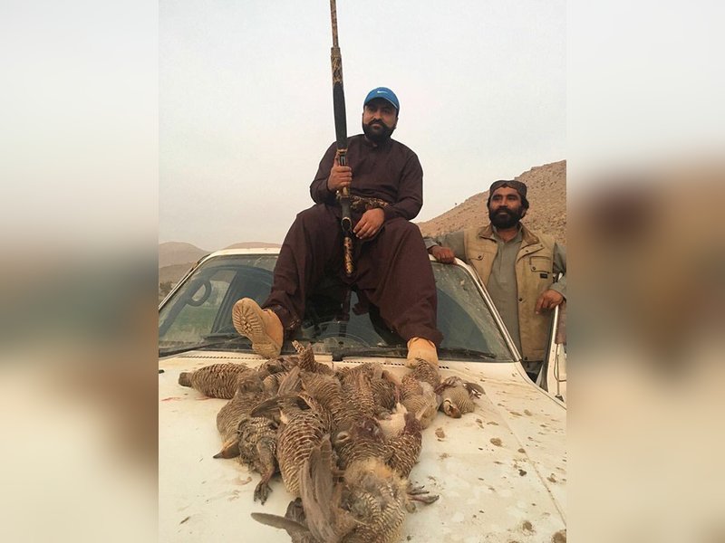 Baloch activist urges Norway not to host Pakistani leaders accused of human rights abuses