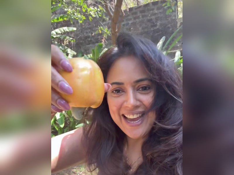 Sameera Reddy thrilled as Cashew season begins, shares glimpse from her own home garden