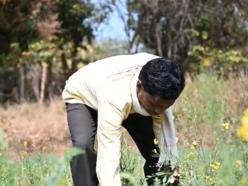 छत्तीसगढ़: नाबार्ड सौर सुजला योजना से बदली मोहभट्टा के किसान की तकदीर, सोलर सिंचाई पंप से दोगुनी हुई आय