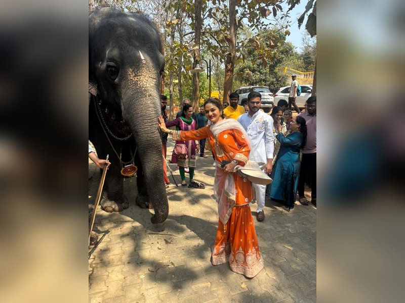 Madhoo reveals her spirit animal: They are gentle and giant'