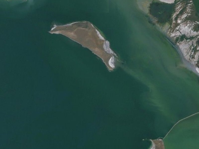 धरती की सबसे निचली सतह 'डेड सी', जहां नहीं पनप पाते जीव, क्यों माना जाता है 'मृत'