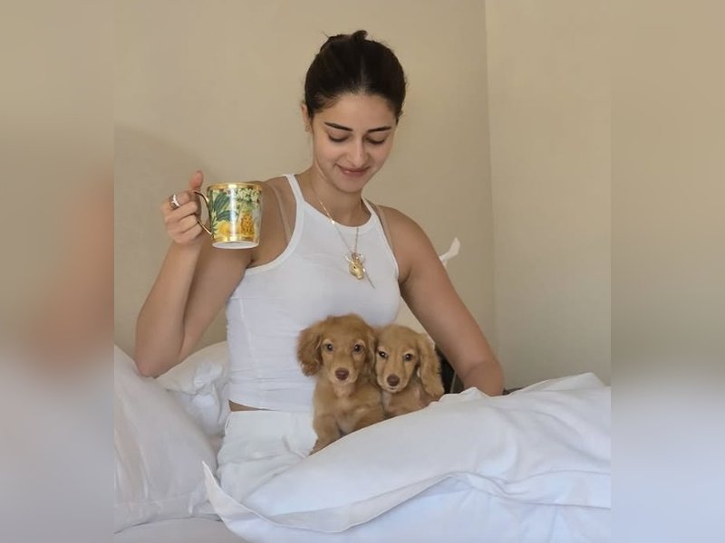 Ananya Pandey changes the name of her new fur baby