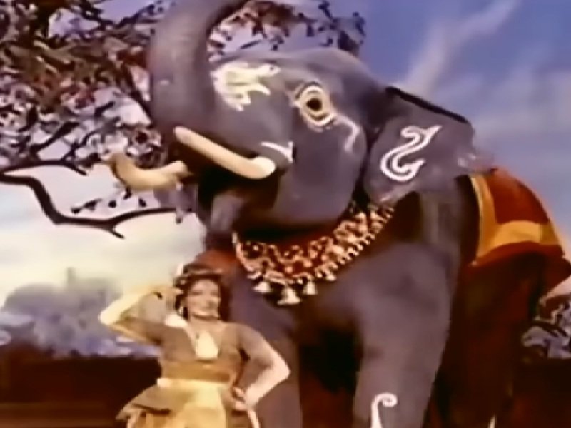 होली स्पेशल: जब 'अरे जा रे हट नटखट' गाने के लिए एक्ट्रेस संध्या शांताराम को हाथी से मिलानी पड़ी थी ताल से ताल