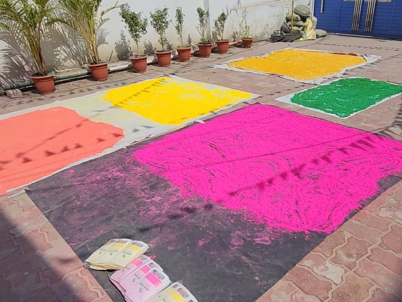 भागलपुर में खुशबूदार होली: सेल्फ हेल्प ग्रुप की महिलाओं ने तैयार किया अरोमाथेरेपी वाला हर्बल गुलाल