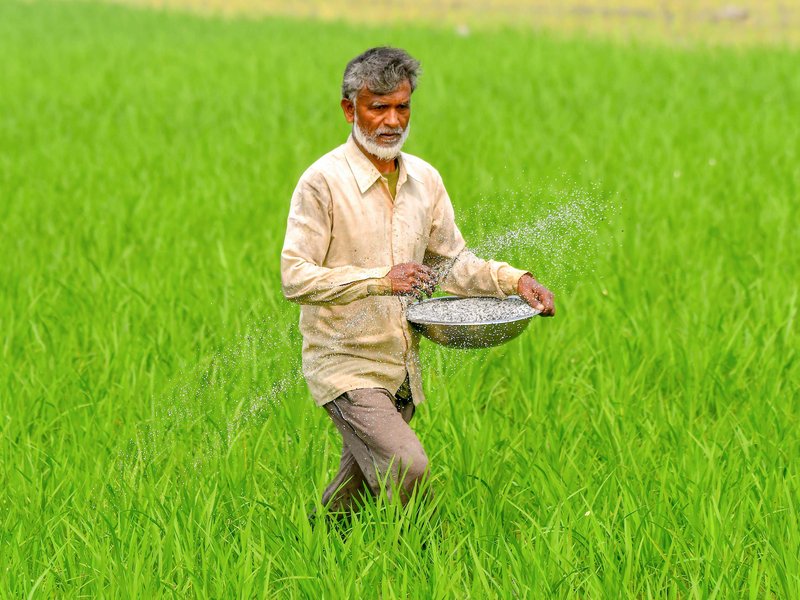Govt assures steady fertiliser supplies through import diversification, capacity expansion
