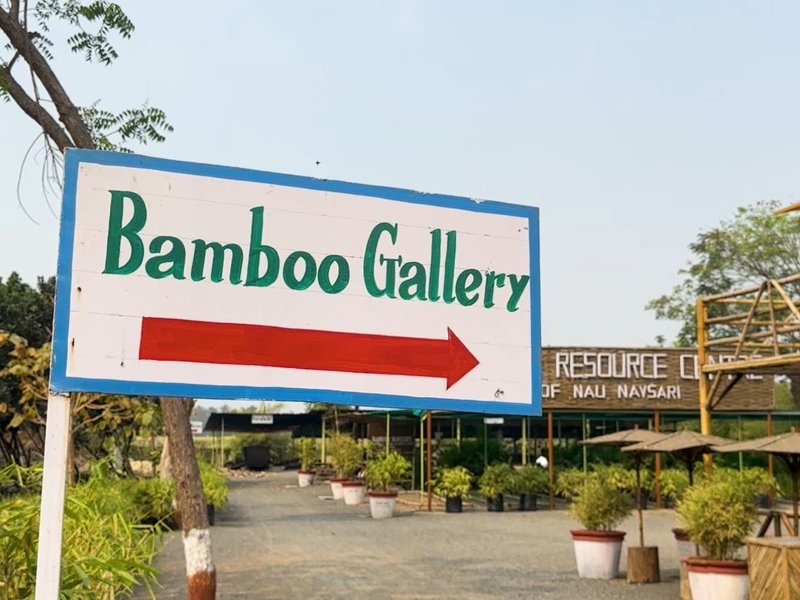 गुजरात: एसएसआईपी योजना से योगेश बैंबू स्टार्टअप से बने आत्मनिर्भर, लोगों को प्‍लास्टिक से दूर और प्रकृति के करीब ला रहे 