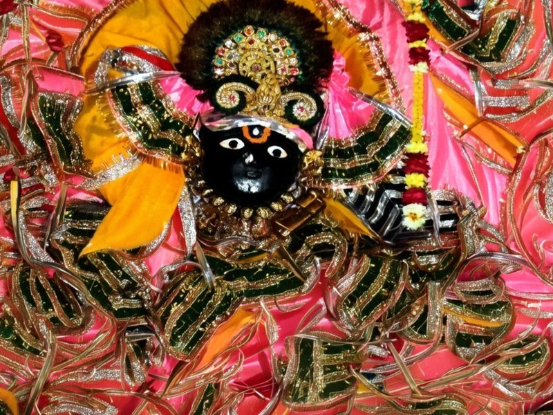 दाऊजी महाराज मंदिर की हुरंगा होली: परंपरा, आस्था और उत्साह का भव्य उत्सव